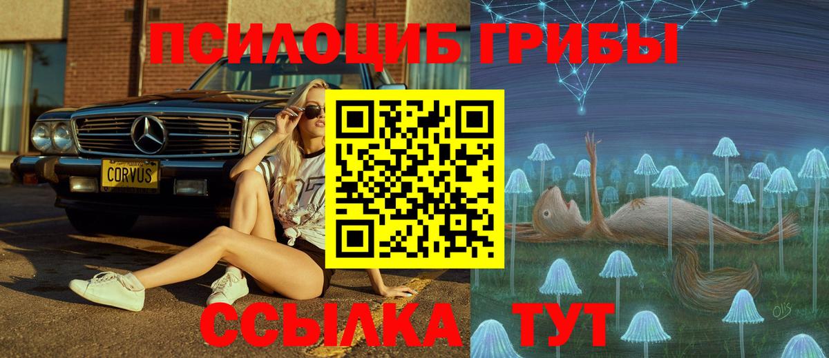 Галлюциногенные грибы мицелий Волжский